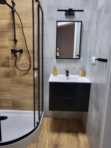Koupelna v ubytování Apartamenty CITI