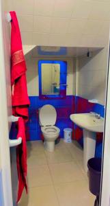 La petite salle de bains est pourvue de toilettes et d'un lavabo. dans l'établissement Amam's Home, à Agadir