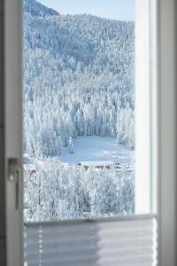 une fenêtre avec vue sur une forêt enneigée dans l'établissement Sporthotel Pontresina, à Pontresina