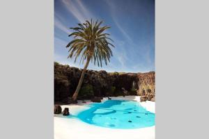 eine Palme neben einem Pool in der Unterkunft Elena Beach House Lanzarote in Playa Honda