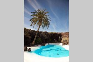 Una palmera sentada junto a una piscina en Elena Beach House Lanzarote, en Playa Honda