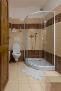 a bathroom with a shower with a toilet and a glass shower stall at Penzion Hlinky 