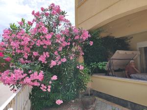 a man sitting on a balcony with pink flowers at Sinanovic Rooms in Ulcinj