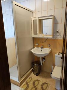 a bathroom with a shower and a sink and a toilet at Sinanovic Rooms in Ulcinj