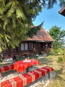 a table and benches in front of a house at Kućica za odmor-Borova glava in Zlatibor
