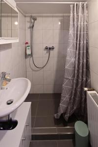 a bathroom with a shower and a sink at Apartment Nerial in Bruck an der Großglocknerstraße