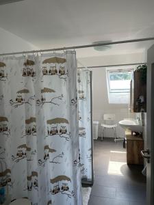 a bathroom with a shower curtain and a sink at Apartment 28 in Stadthagen