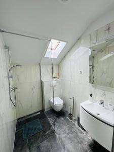 a bathroom with a shower and a toilet and a sink at Villa Felix in Murter