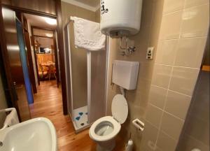 a small bathroom with a toilet and a sink at Wood apartment in Canin ski resort in Sella Nevea
