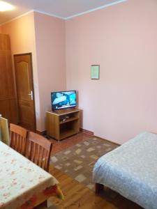 a room with a tv and a bed and a table at Apartments Vukomanović in Zlatibor