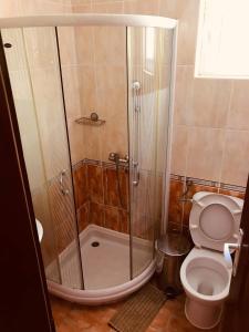 a bathroom with a shower and a toilet at Apartments Vukomanović in Zlatibor