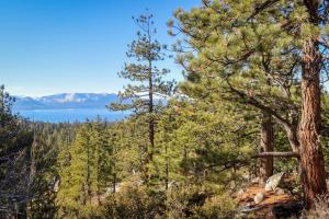 widok na krater jezioro przez drzewa w obiekcie Pine Tree Place - Unit 3 w mieście South Lake Tahoe