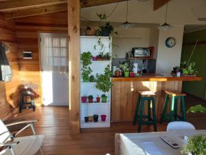 a kitchen with a counter with plants and stools at casa estilo cabaña in Tandil