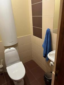 a bathroom with a toilet and a sink at Hotel DANIELA in Nīca