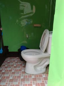 a bathroom with a toilet in a green wall at LHOYJEAN Garden Hostel in Batuan