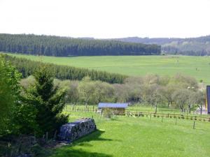 a green field with a barn in the distance at Ferienwohnung-Freuen in Blankenheim