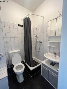 a bathroom with a toilet and a shower and a sink at Apartment in Solingen Ohligs in Solingen