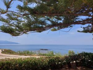 Gallery image of Billie's Holiday in Preveza +14 photos