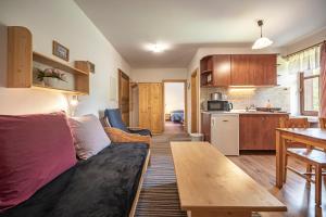 Kuchyň nebo kuchyňský kout v ubytování Apartmány Rubínovi