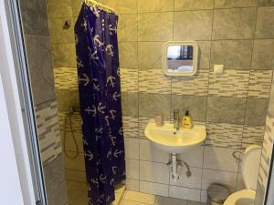 Koupelna v ubytování Стаи за гости Ася + 37 fotografií