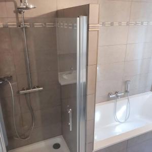 a bathroom with a shower and a toilet and a sink at Vakantiewoning Op Den Briel in Lokeren