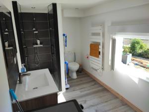 a bathroom with a sink and a toilet at Petit Coin de Bonheur studio Neuf et lumineux à 5mins du Centre-ville in La Mure