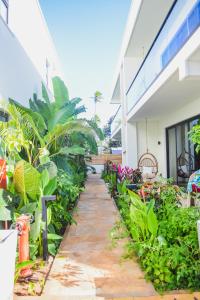 TOA Hotel & Spa Zanzibar外面的花园
