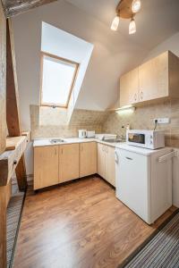 Kuchyň nebo kuchyňský kout v ubytování Apartmány Rubínovi