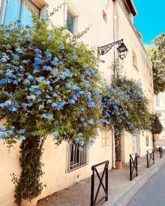 Fotografia z galérie ubytovania "Appart aux fleurs bleus" Arles fondation Van Gogh v destinácii Arles