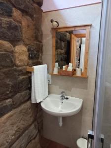 un baño con lavabo y espejo en Hotel El Jisu, en Camaleño