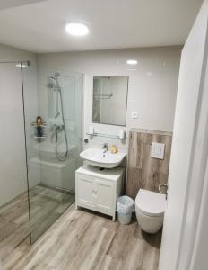 a bathroom with a sink and a shower and a toilet at HOSTEL Postaja in Ruše