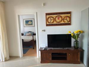 A television and/or entertainment centre at Summer Vibe Siofok