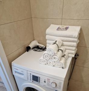 Fotografia z galérie ubytovania Apartament Lawendowy Gdańsk v destinácii Gdansk
