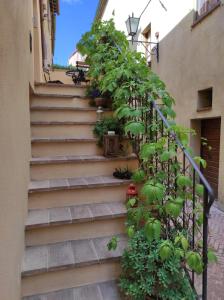 Fotografie z fotogalerie ubytování Camere La Carbonaia v destinaci Pienza