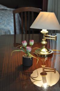 Foto sihtkohas Irapuato asuva majutusasutuse Hotel Flamingo Kristal galeriist