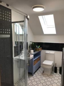 a bathroom with a toilet and a skylight at Ramblers, Bude in Stratton