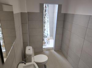 a bathroom with a toilet and a window at Gościniec Biebrzański in Lipsk