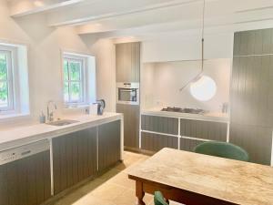 eine Küche mit grauen Schränken und einem Tisch und einer Spüle in der Unterkunft The Green House Lodge in Den Dungen