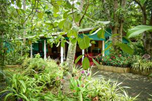 a garden in front of a house with plants at Palitha Homestay in Sigiriya
