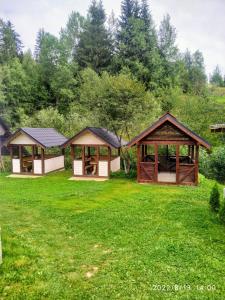 a group of gazebos in a grass field at Відпочинковий комплекс "Alpha Plus" in Yablunytsya