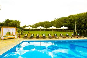 a swimming pool with lounge chairs and umbrellas at Imanje Lotus Garden in Šabac