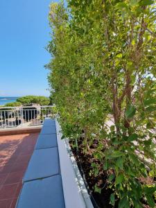 A balcony or terrace at REale Apartments