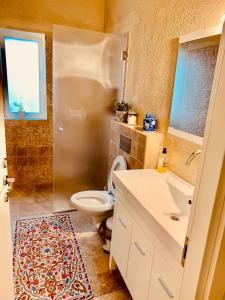 een badkamer met een toilet, een wastafel en een spiegel bij לארח, זה בטבע שלנו in Kefar Blum