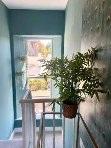 uma planta com vasos sentada numa parede ao lado de uma escada em 3-Bed Luxe Truro Townhouse Gem. Escape in Style! em Truro