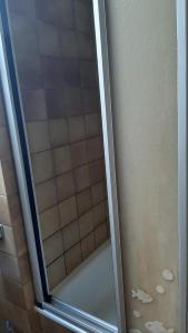 W łazience znajduje się prysznic ze szklanymi drzwiami. w obiekcie Schöne aussicht w Konstancji