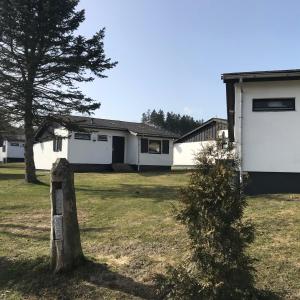a house with a tree in the yard at Modernes Ferienhaus Willingen in Willingen