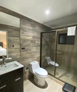 a bathroom with a toilet and a shower and a sink at La casona Talpen in Constitución +13 photos