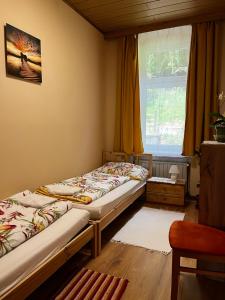 two beds in a room with a window at Palma Apartment in Schottwien