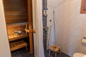 a bathroom with a shower and a toilet at Tunturilapin Tuvat in Muonio