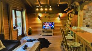 a living room with a television in a log cabin at Luxusapartment im Landhaus Brugger in Mühlbach